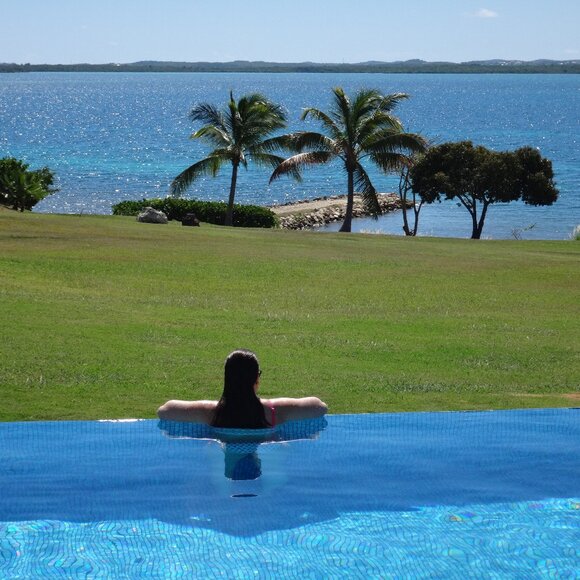 Meet your Posher, D - Picture 1 of 1